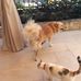 Terence Mccall - Facebook