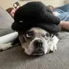 Terrance McIntyre - @terry.mcintyre - TikTok