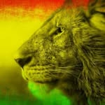 terrence mohamed - @terrencemohamed2018 - Instagram