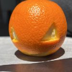 Terrence - @terrence_the_orange - Instagram