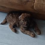 @terrenceorangeesq - Instagram