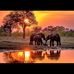 Terry Packer - Facebook