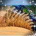 Terry Purdy - Facebook