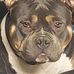 Terrence Queen - Facebook