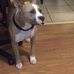 Terrence Rawls - Facebook