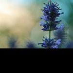 @terrence_ricei - Instagram
