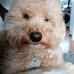 Terry Rickard - Facebook