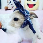 Terrence Rodriguez - @skopagsogolb861 - Instagram