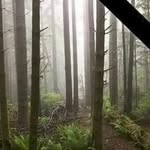 Terrence Roy - @terrence.roy.35 - Instagram