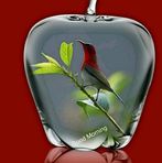 Terrence Sage - Facebook