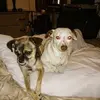 terrencewadesanders - @terrencewadesanders - TikTok