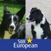 Terry Sewell - Facebook