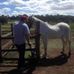 Terry Sewell - Facebook
