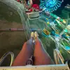 stacyterrience - @stacyterrience - TikTok