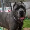 Terence Starks - @terence.starks5 - TikTok