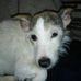 Terrence Stephens - Facebook
