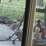 Terrence Stevens - @terrence87575 - Instagram