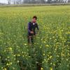 Vinit_Gala - @terrence.strongg - TikTok