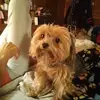 terenceswanson693 - @terenceswanson693 - TikTok
