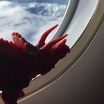 Terrence - @terrence_triceratops_ - Instagram