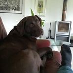 Terence Wall - Facebook