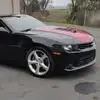 Terrence Williamson - @terrence.williams4066 - TikTok