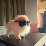 Terrence Wong - @terrence0626 - Instagram