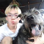terrence wong - @terrence.321 - Instagram
