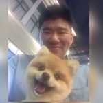 Terrence Wong - @terrencewong9898 - Instagram