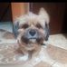 Terry Acedo Curo - Facebook