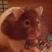 Terri Ackerman - Facebook