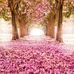 Terri Adamson - Facebook