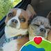 Terri Adkins - Facebook