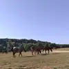 Terri Adkins - @terri.adkins3 - TikTok