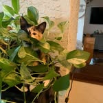 Terri Adkins - @terri.adkins.9 - Instagram
