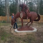 Terri Cole Adkins - @terriadkins49 - Instagram