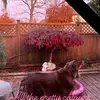 Terri Aitken - @terriaitken8 - TikTok