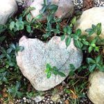 Terri Allison - @terrimca2 - Instagram