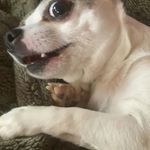 Terri Allison Burton - @terri_leigh97_ - Instagram
