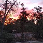 Terri Allman White - @tmwhite0119 - Instagram