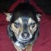 Terri Ault - Facebook