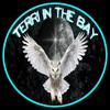 terri_in_the_bay - @terri_in_the_bay - TikTok