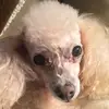 terribayhi - @terribayhi - TikTok