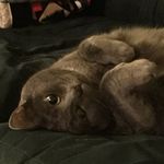 Terri Beal - @terri_beal - Instagram