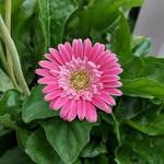 Terry Beatty - @terrybeatty12 - Instagram