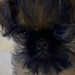 Terri Becker - @terribecker3 - Instagram