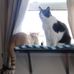 Terri Becker - Facebook
