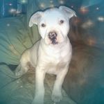 Terri Becker - @terri.becker.bloedorn - Instagram