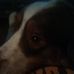 Terri Bedford - Facebook