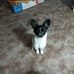 Terri Berg - Facebook